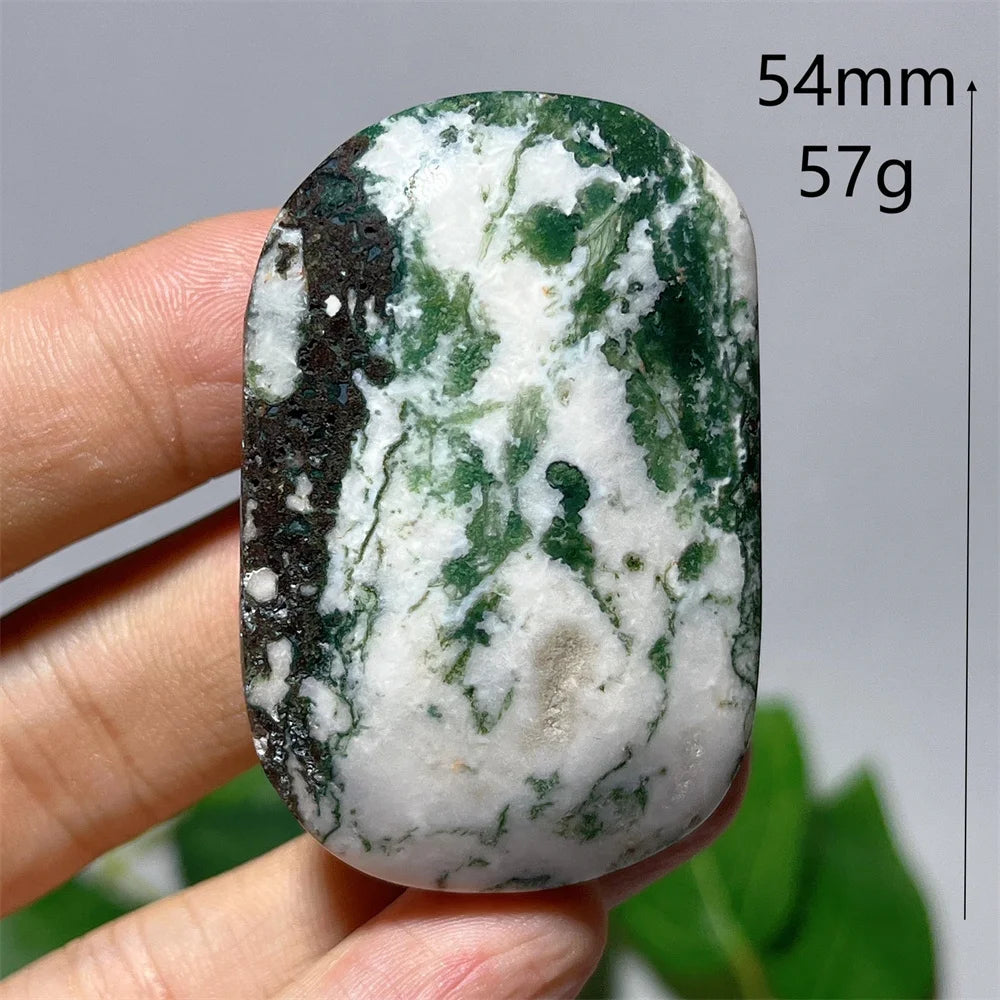 Green Moss Agate-ToShay.org