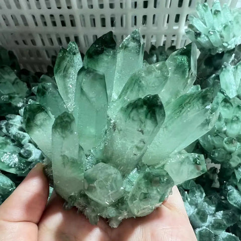 Green Citrine Quartz Crystal Cluster-ToShay.org