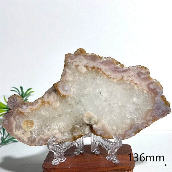 Pink Amethyst Flower Agate-ToShay.org