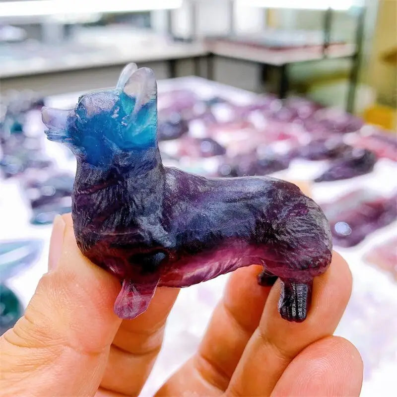 Purple Fluorite Dog-ToShay.org