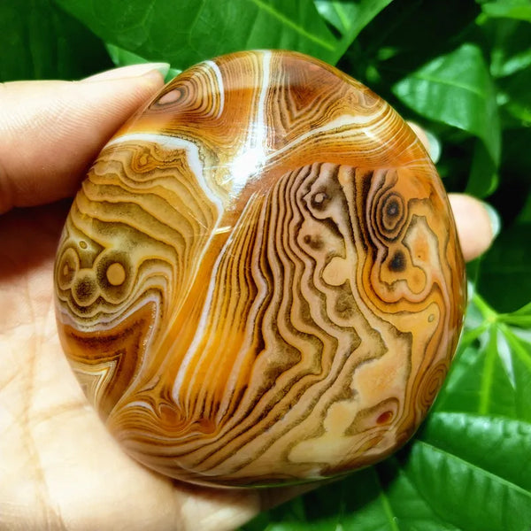 Red Sardonyx Agate-ToShay.org