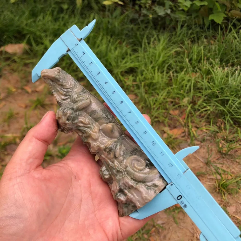 Green Jade Lizard-ToShay.org