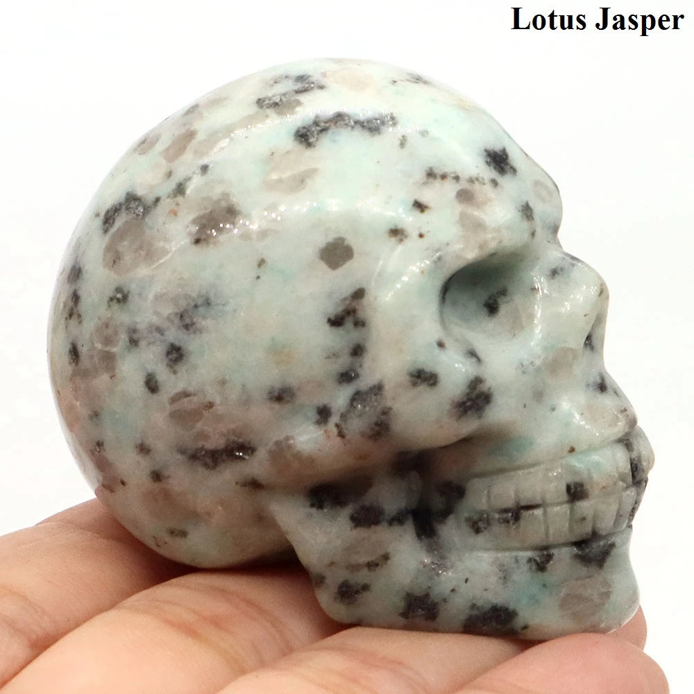 Mixed Crystal Skull-ToShay.org