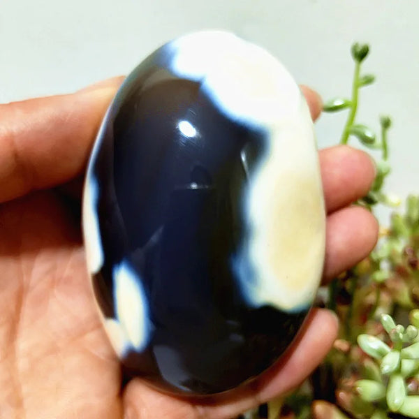 Mixed Lace Sardonyx Agate-ToShay.org