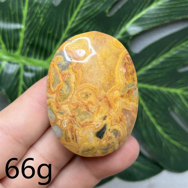 Yellow Crazy Agate Palm Stone-ToShay.org