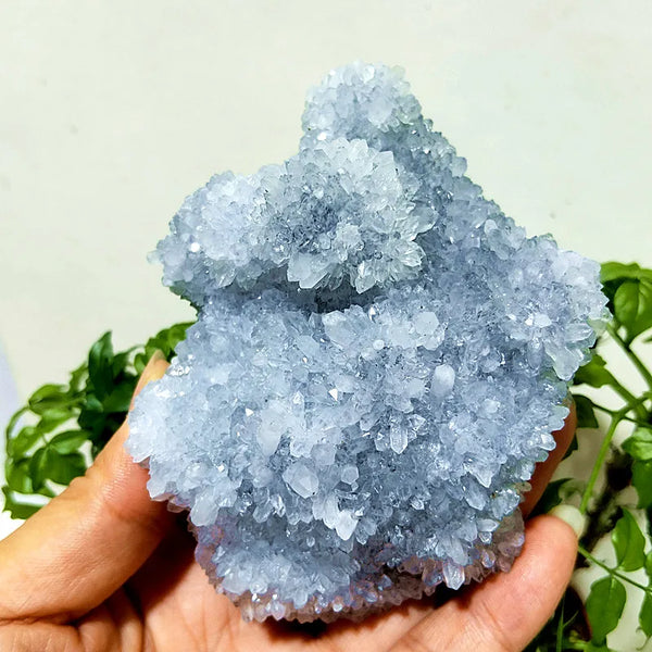 Purple Chrysanthemum Fluorite Crystal-ToShay.org