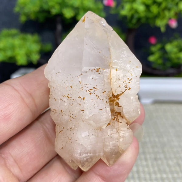 White Quartz Crystal Cluster-ToShay.org