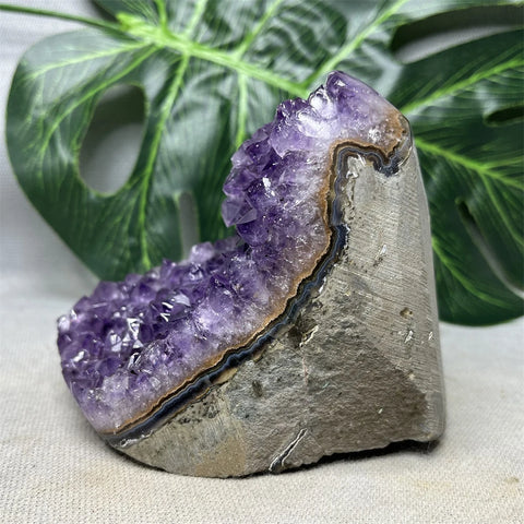 Purple Amethyst Crystal Cluster-ToShay.org