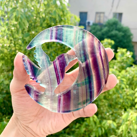 Rainbow Fluorite Moon Bird-ToShay.org