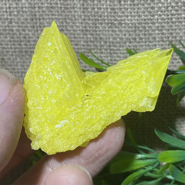 Yellow Sulphur Quartz-ToShay.org