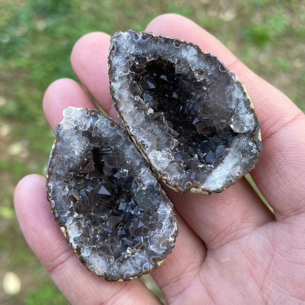 Mixed Agate Geode Egg-ToShay.org