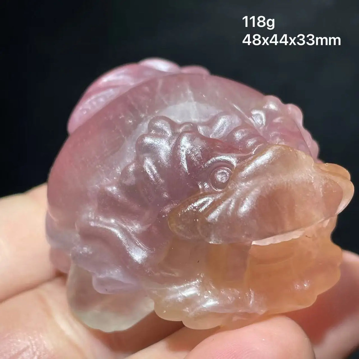 Mixed Crystal Dragon Turtles-ToShay.org