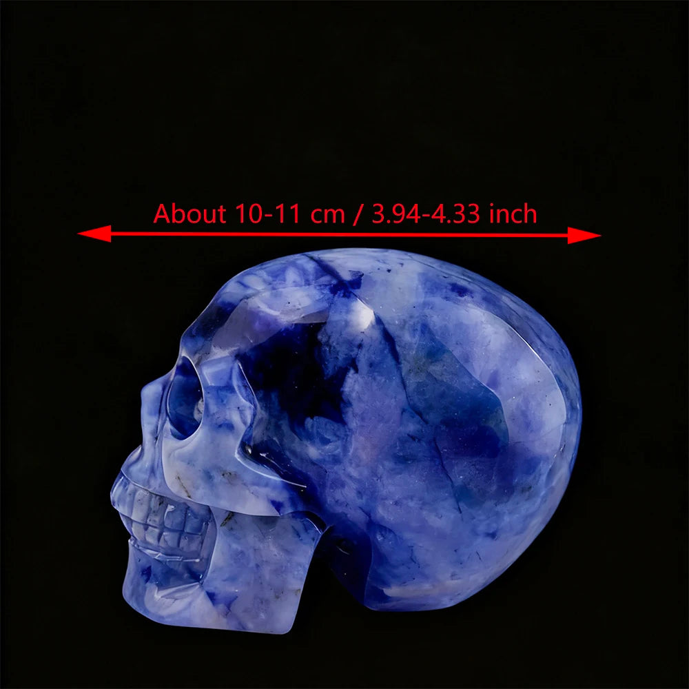 Blue White Porcelain Skull-ToShay.org
