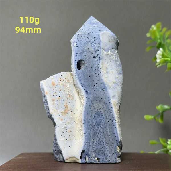 Blue Coral Crystal-ToShay.org