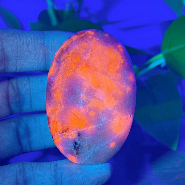 Rainbow Sodalite Palm Stone-ToShay.org