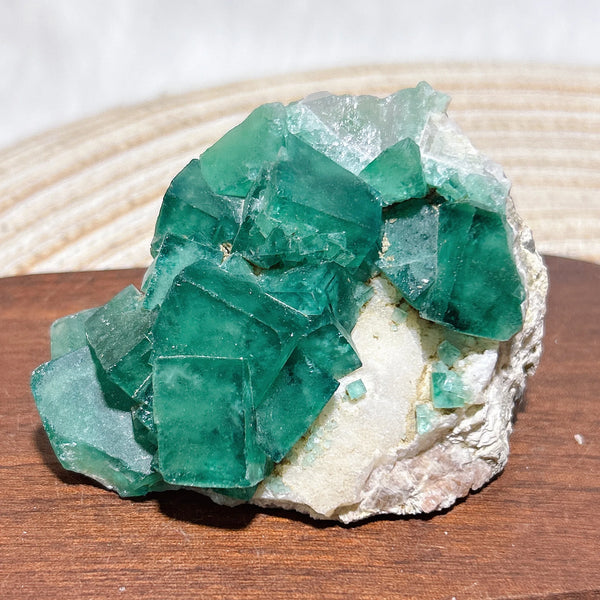 Green Fluorite Raw Stone-ToShay.org