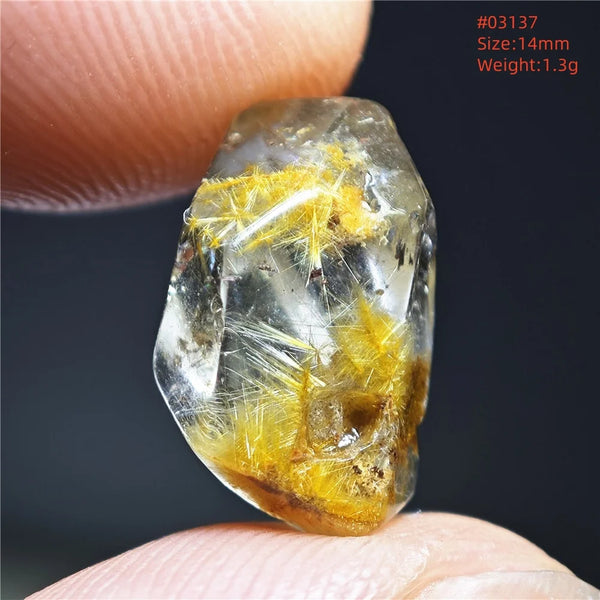Gold Rutilated Quartz-ToShay.org