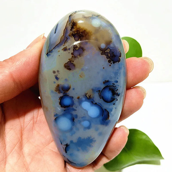 Yellow Blue Water Plant Agate-ToShay.org