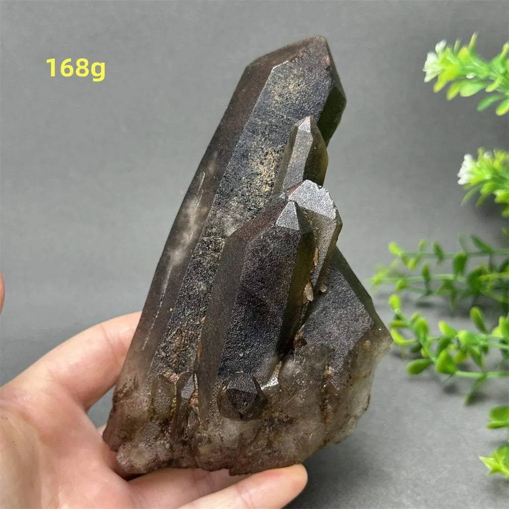 Black Quartz Crystal-ToShay.org