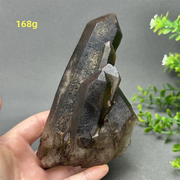 Black Quartz Crystal-ToShay.org