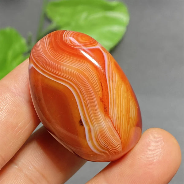 Orange Silk Lace Agate-ToShay.org