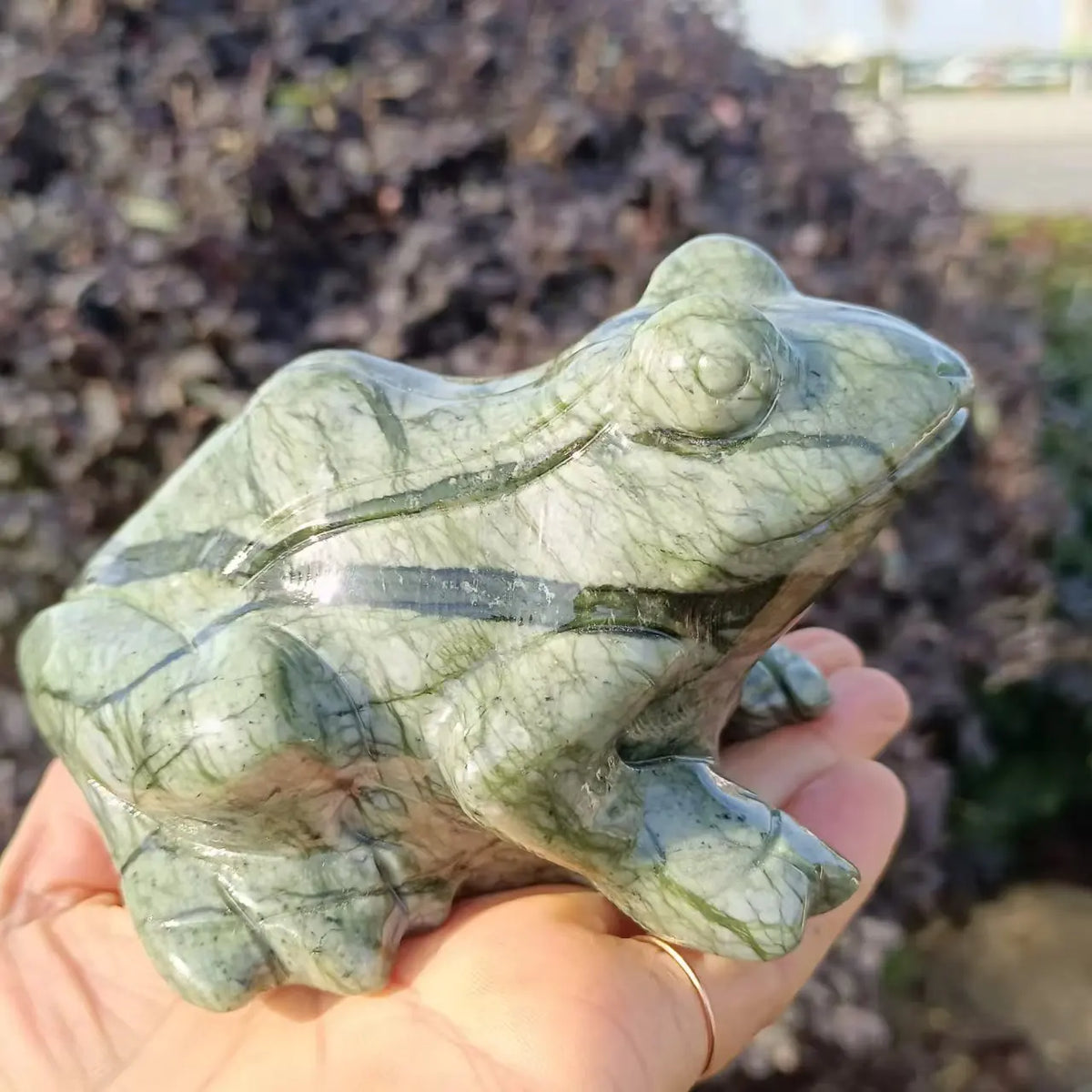 Green Jade Frog-ToShay.org