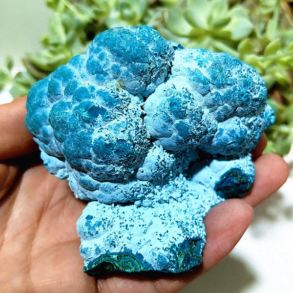 Blue Chrysocolla Crystal-ToShay.org