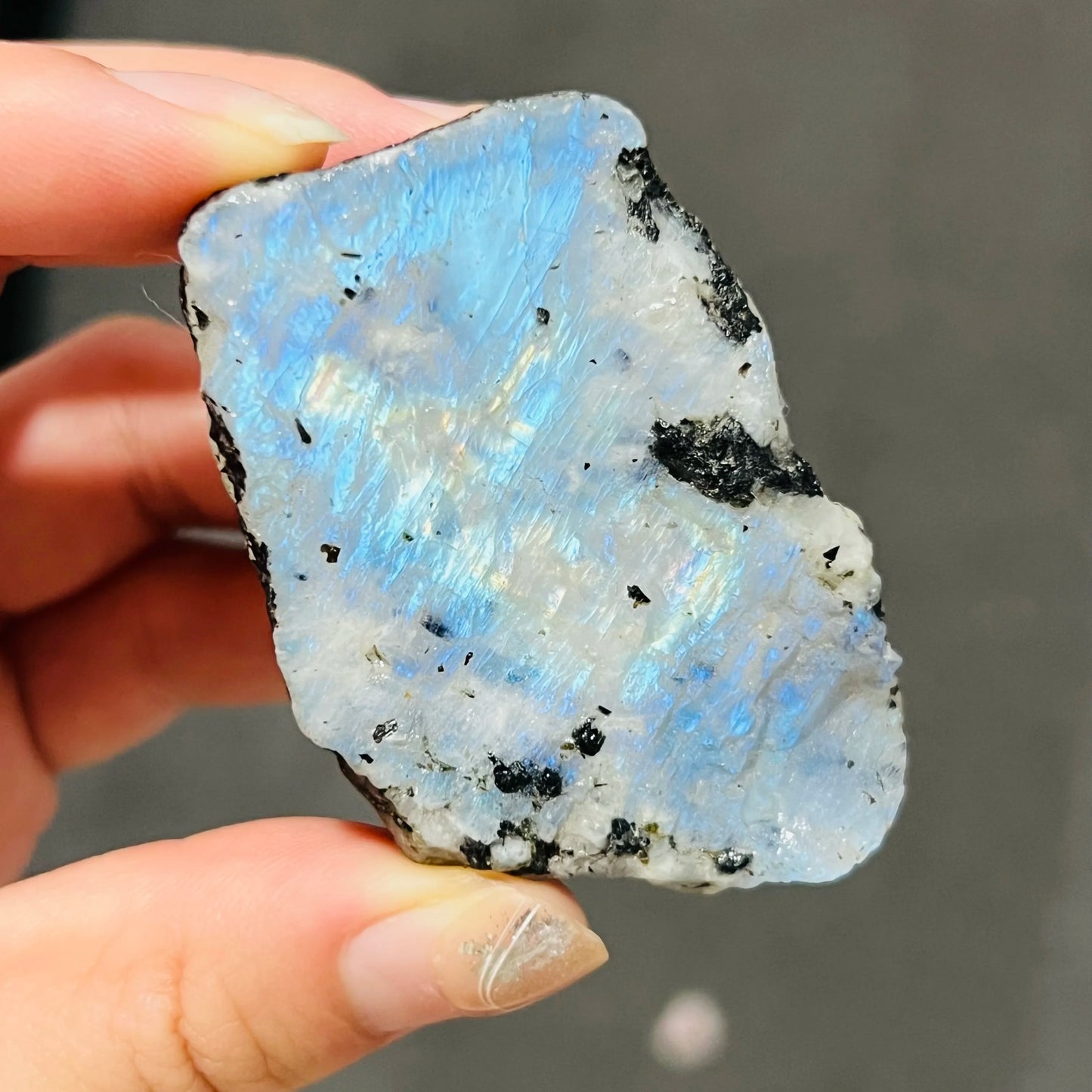 Blue Rainbow Moonstone-ToShay.org