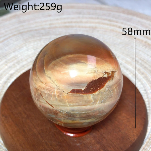 Brown Petrified Wood Ball-ToShay.org