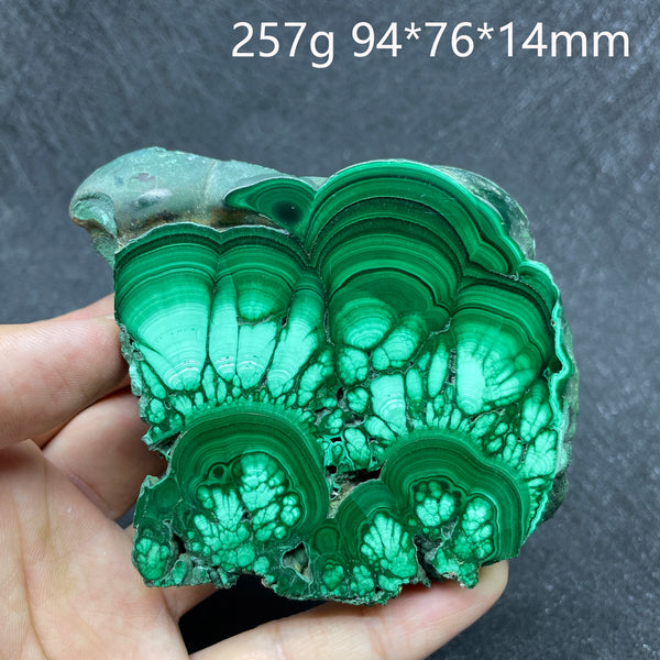 Green Malachite Slice-ToShay.org