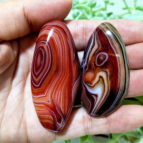 Red Sardonyx Lace Agate-ToShay.org