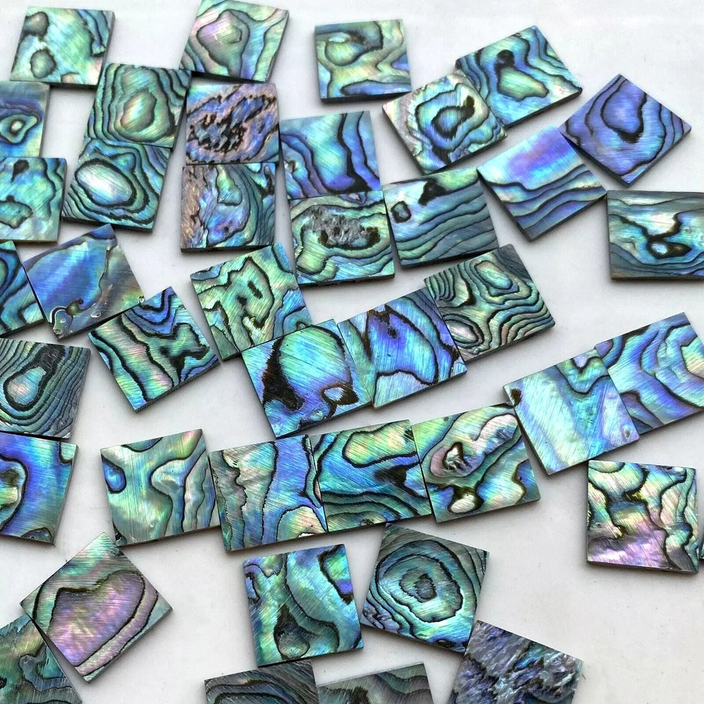 Blue Abalone Shell Slice-ToShay.org