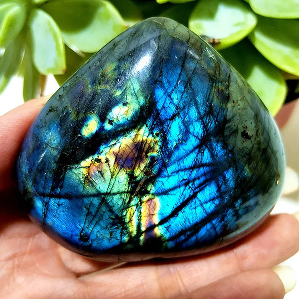 Blue Labrador Stone Heart-ToShay.org