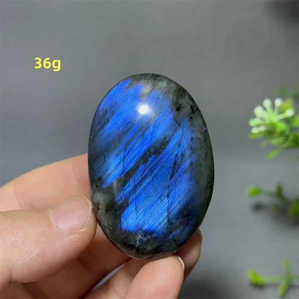Blue Labrador Palm Stone-ToShay.org