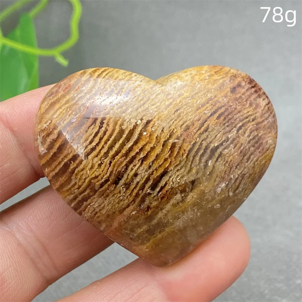 White Layers Phantom Stone-ToShay.org