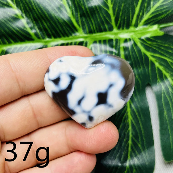 Black White Orca Agate-ToShay.org