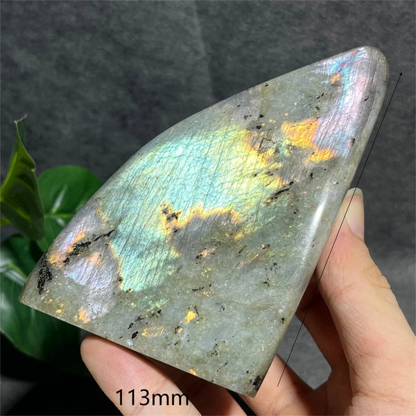 Blue Labradorite Crystal-ToShay.org