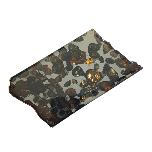 Olive Meteorite Slice-ToShay.org