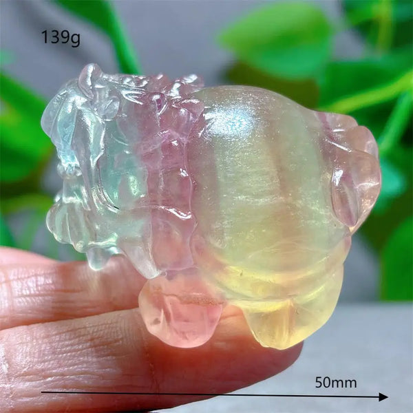 Rainbow Fluorite Dragon Turtle-ToShay.org