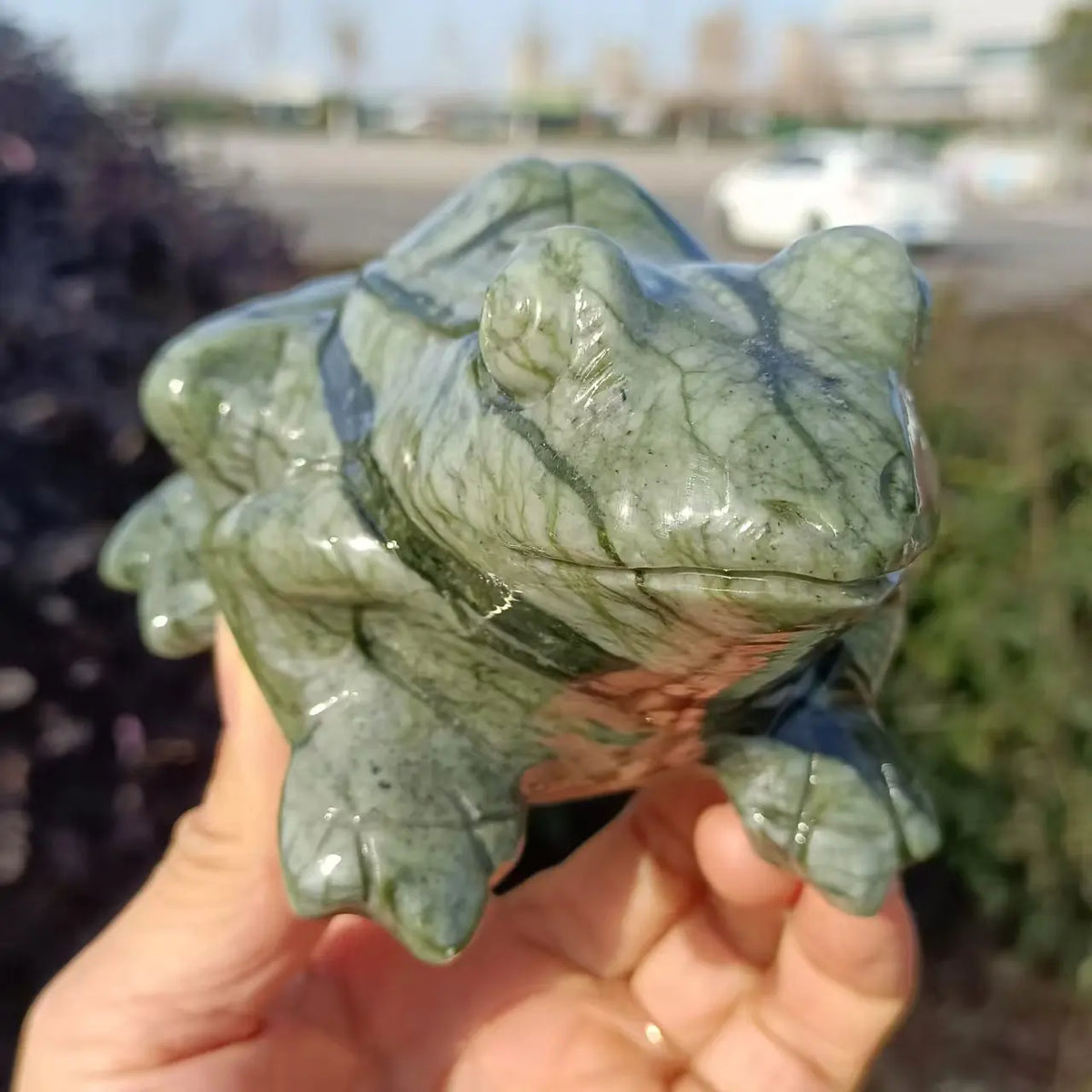 Green Jade Frog-ToShay.org