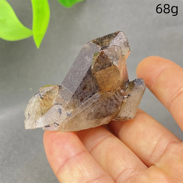 Yellow Black Smoky Quartz-ToShay.org