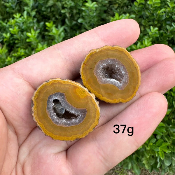 Mixed Agate Crystal Geode-ToShay.org