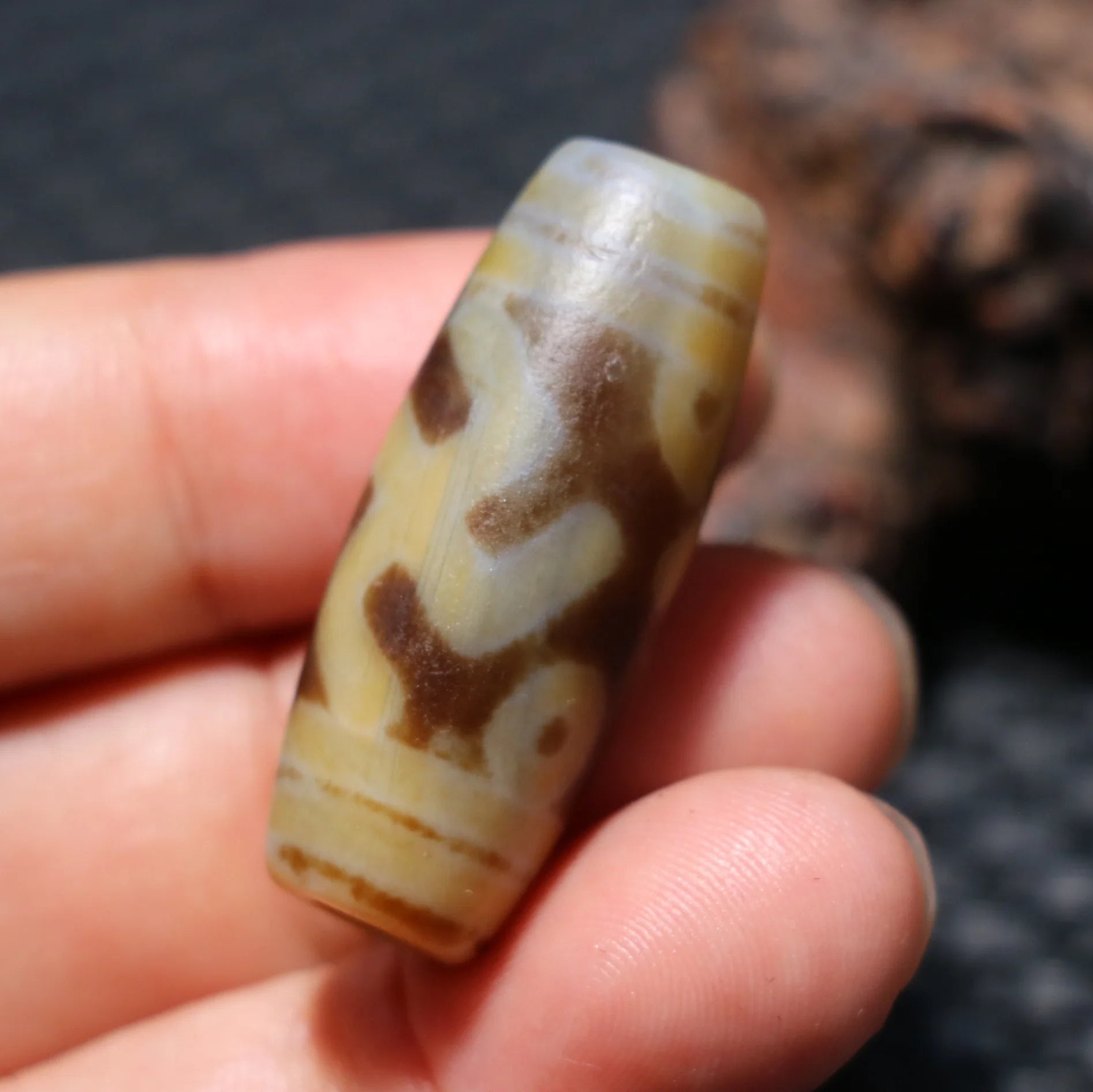 Tibetan Agate Eyes Dzi-ToShay.org