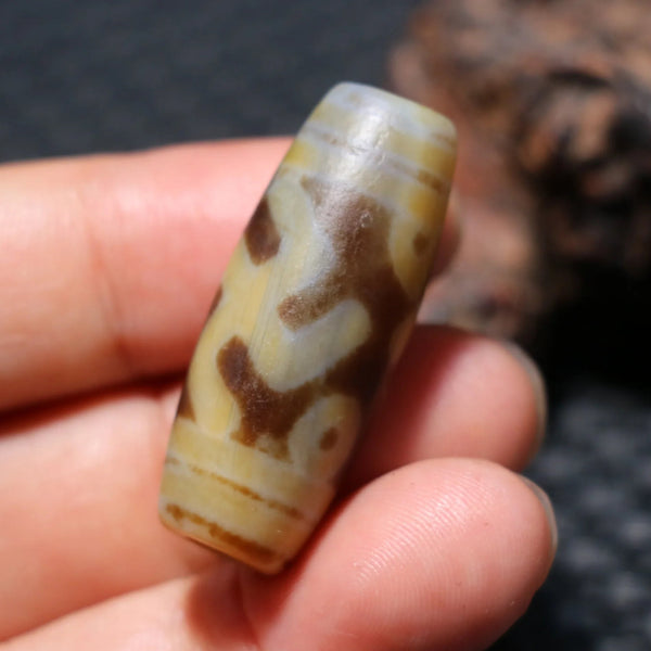 Tibetan Agate Eyes Dzi-ToShay.org