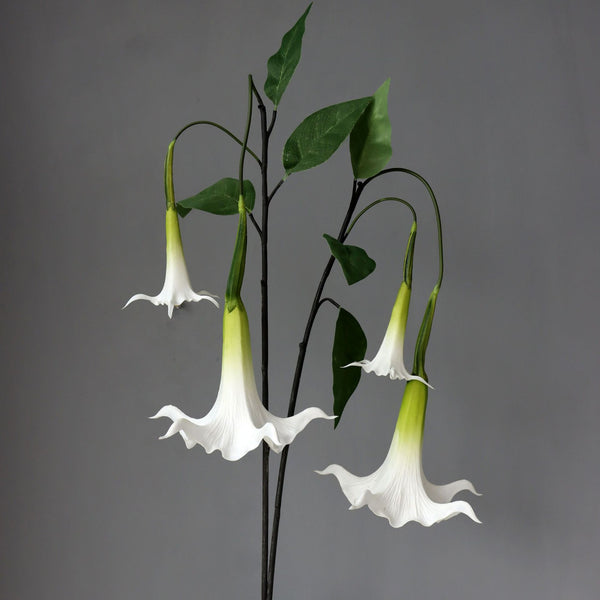 Lily Hanging Flowers-ToShay.org