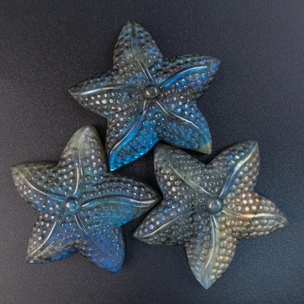 Blue Flash Labradorite Starfish-ToShay.org