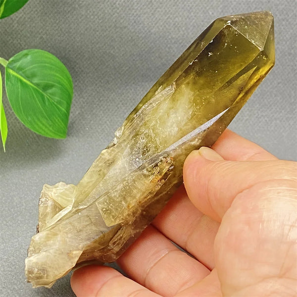 Yellow Black Smoky Quartz-ToShay.org