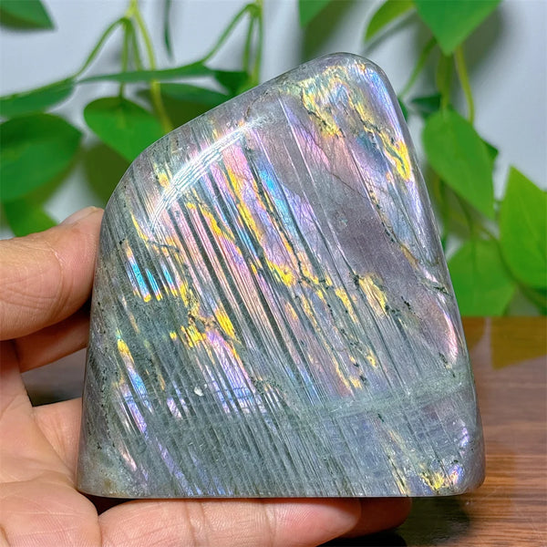 Purple Labradorite-ToShay.org