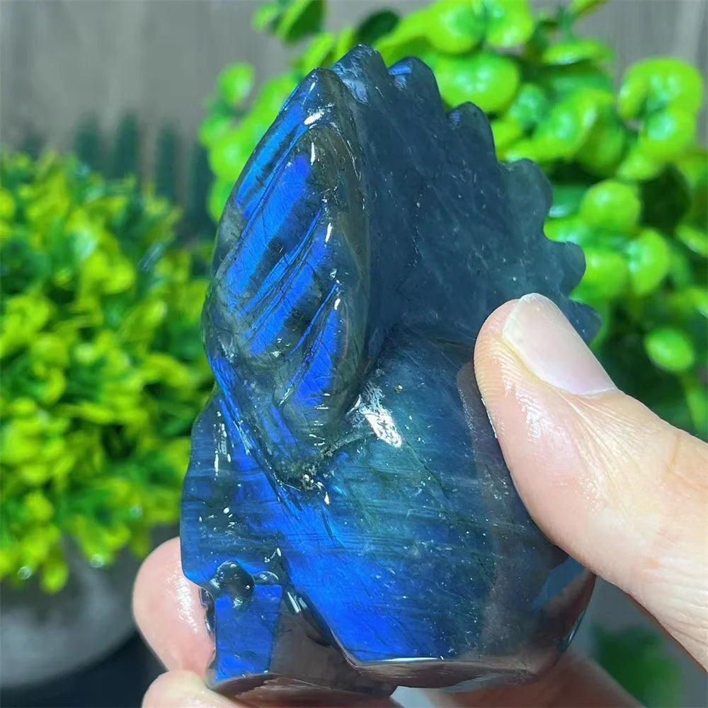 Blue Labradorite Feather Skull-ToShay.org