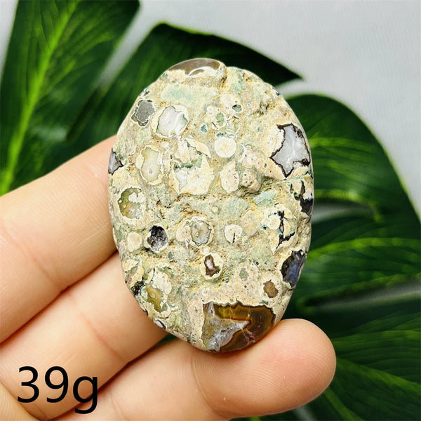 Australian Natural Opal Agate Stone Palmstone Raw Mineral Specimens Home Room Decoration Holiday Gifts Spiritual Healing-ToShay.org